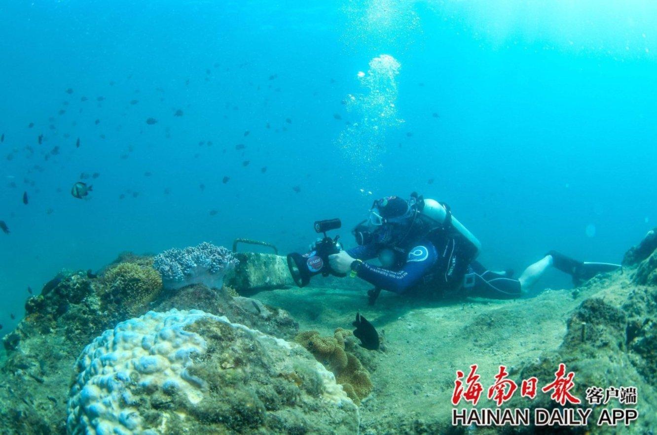 海盗寻宝记