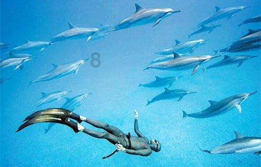 双人坦克世界3D