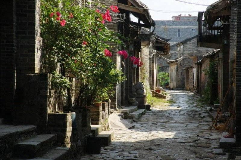 逃离狂热地带
